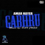 Amar Hayer