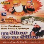 Jithe Dekhya Tera Roop Dekhya Album Download