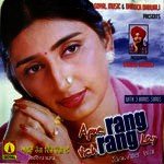 Apne Rang Vich Rang Lai Album Download