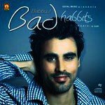 Bad Habits Album Download