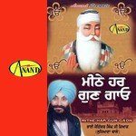 Mithe Har Gun Gaon - Bhai Joginder Singh Riar Song Download