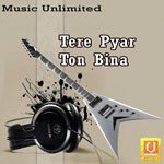 Tere Pyar Ton Bina - Various Artists Song Download