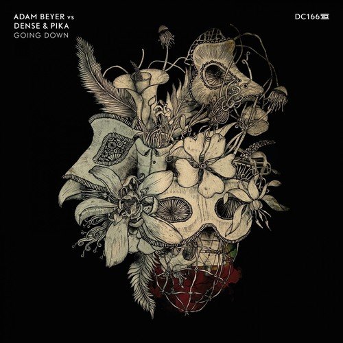 Dense Songs MP3 Download