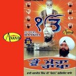 Tu Mera Rakha Album Download
